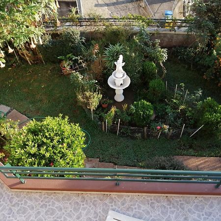 Apartamentos Jardim Funchal  Exterior foto